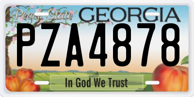 GA license plate PZA4878