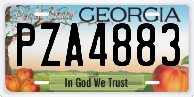 GA license plate PZA4883