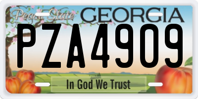 GA license plate PZA4909