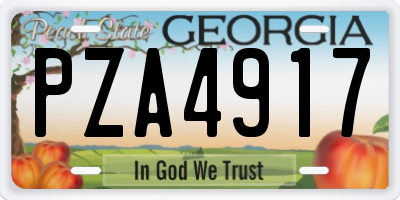 GA license plate PZA4917