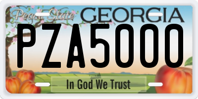 GA license plate PZA5000