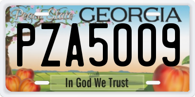 GA license plate PZA5009