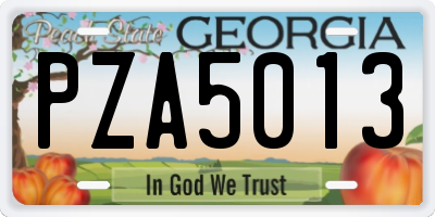 GA license plate PZA5013