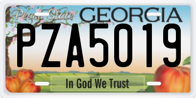 GA license plate PZA5019
