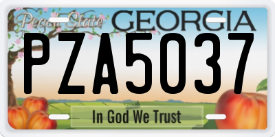 GA license plate PZA5037