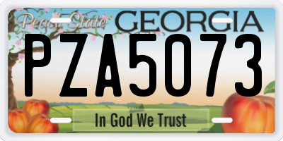 GA license plate PZA5073