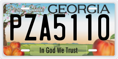 GA license plate PZA5110