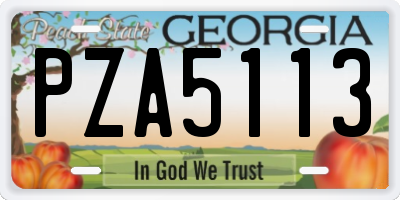GA license plate PZA5113