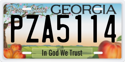 GA license plate PZA5114