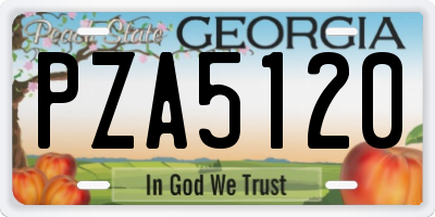 GA license plate PZA5120