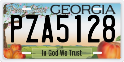 GA license plate PZA5128