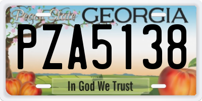 GA license plate PZA5138