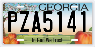 GA license plate PZA5141
