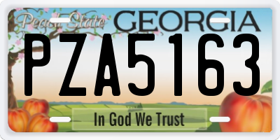 GA license plate PZA5163