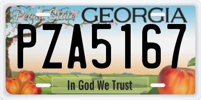 GA license plate PZA5167