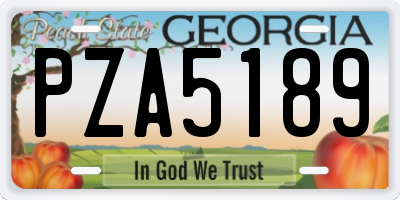 GA license plate PZA5189
