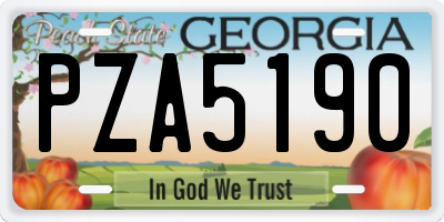 GA license plate PZA5190
