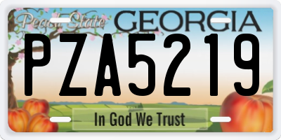 GA license plate PZA5219