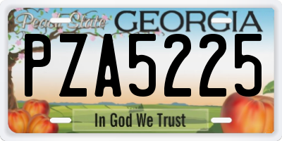 GA license plate PZA5225