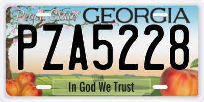 GA license plate PZA5228