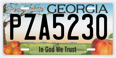 GA license plate PZA5230