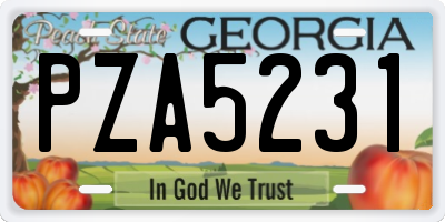 GA license plate PZA5231