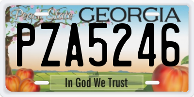 GA license plate PZA5246