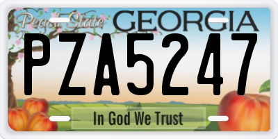 GA license plate PZA5247