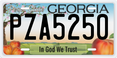 GA license plate PZA5250