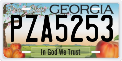 GA license plate PZA5253