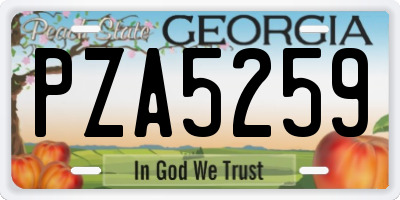 GA license plate PZA5259