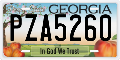 GA license plate PZA5260