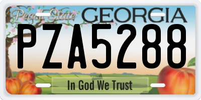 GA license plate PZA5288