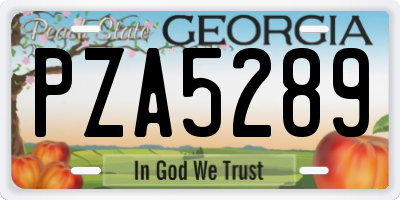 GA license plate PZA5289