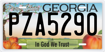 GA license plate PZA5290