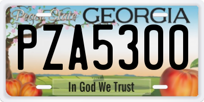 GA license plate PZA5300