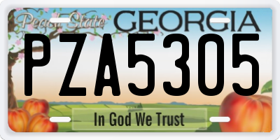 GA license plate PZA5305
