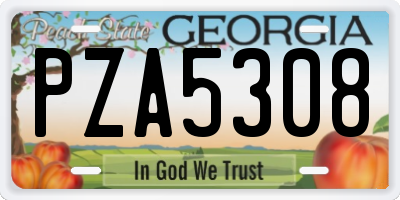 GA license plate PZA5308