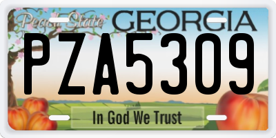 GA license plate PZA5309