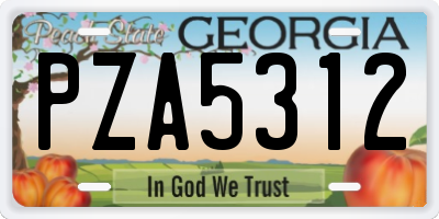 GA license plate PZA5312