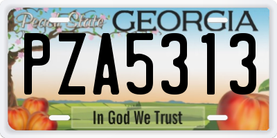 GA license plate PZA5313