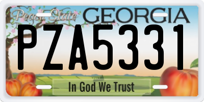 GA license plate PZA5331