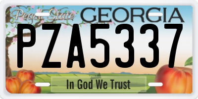 GA license plate PZA5337