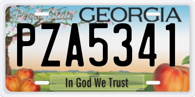 GA license plate PZA5341