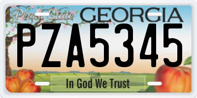 GA license plate PZA5345