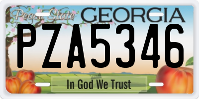 GA license plate PZA5346