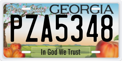 GA license plate PZA5348