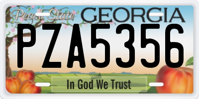 GA license plate PZA5356
