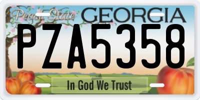 GA license plate PZA5358