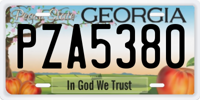 GA license plate PZA5380